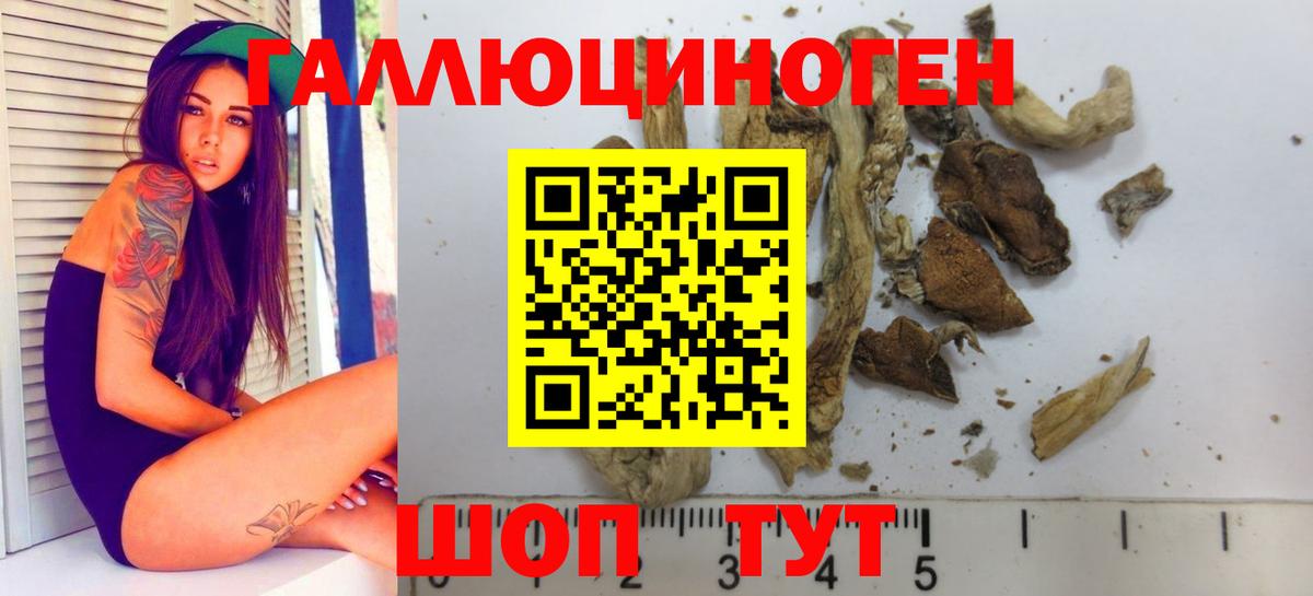Мариинск  Псилоцибиновые грибы прущие грибы  Псилоцибиновые грибы мицелий  продажа наркотиков  Вход с VPN 