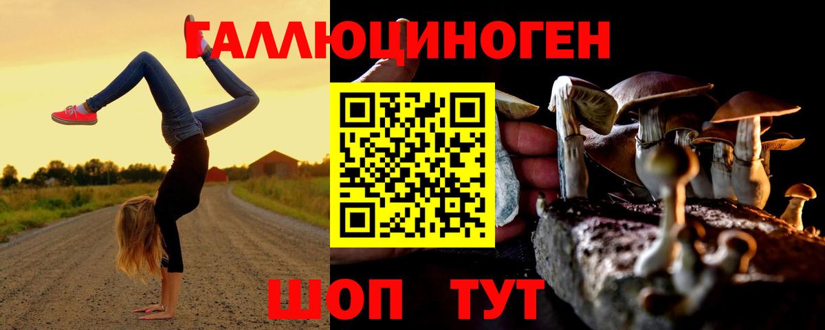 Псилоцибиновые грибы Cubensis Мариинск
